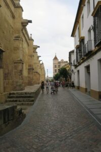 Calle De La Convalecencia